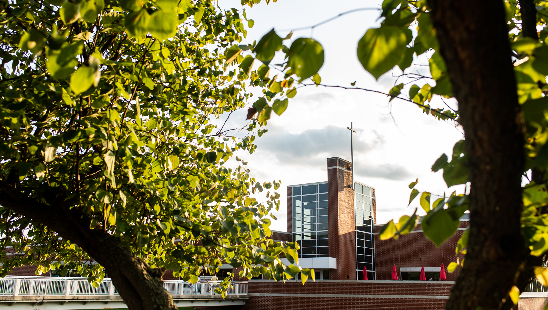 view on campus