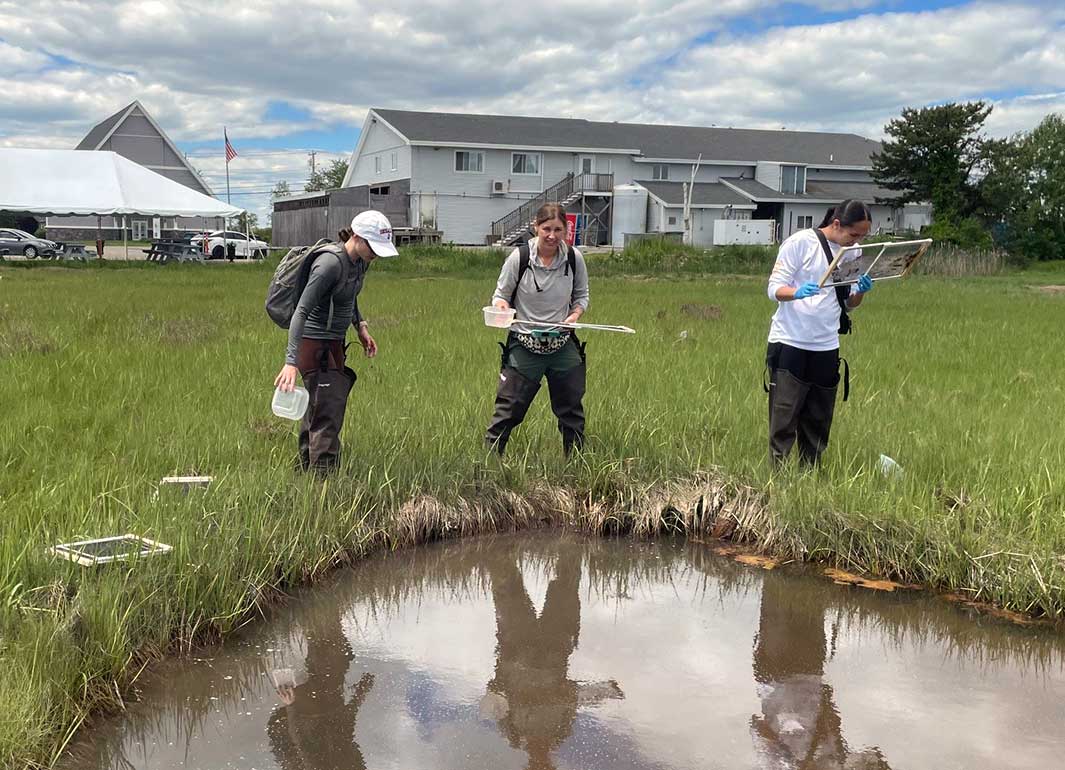 students doing research on leeches near a pond