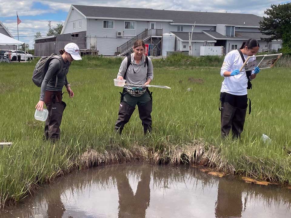 students performing leach research near a pond